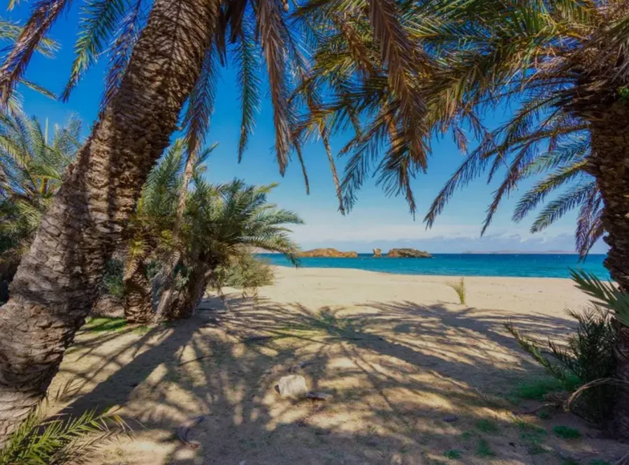 Tropical style beach with palm forest and blue sea at Vai