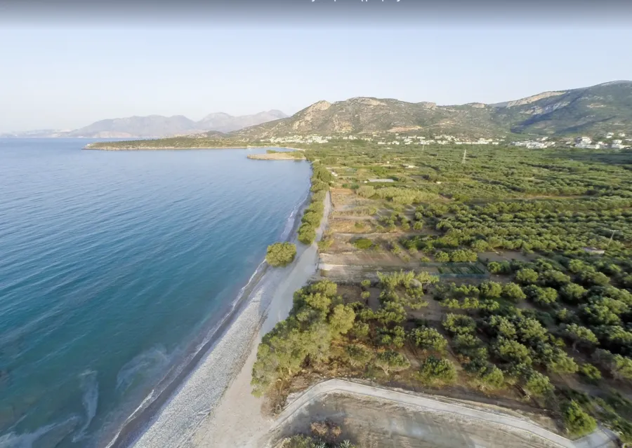 Raki in a traditional kafeneio in Pirgos
