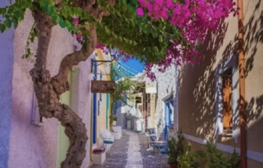 Raki in a traditional kafeneio in Pirgos